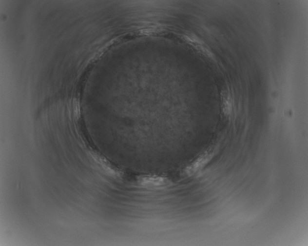 X0000074330471200608251330