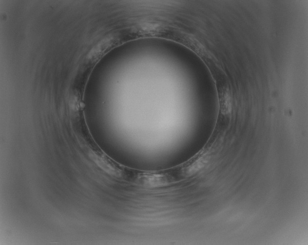 X0000074330472200608251330