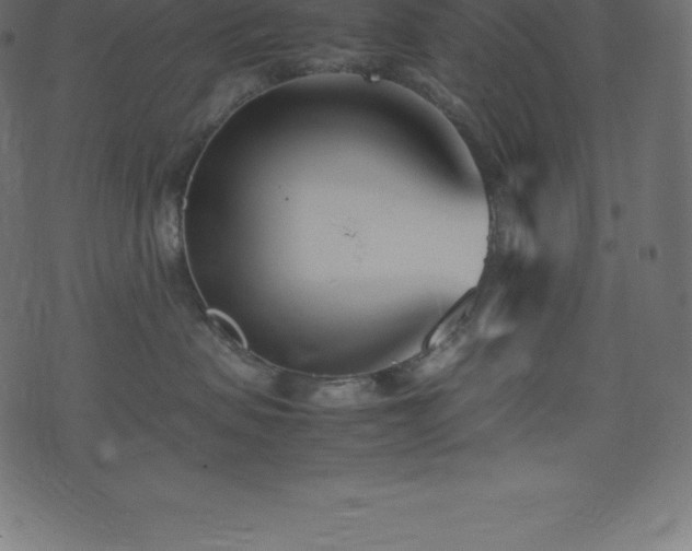 X0000074330479200608251330
