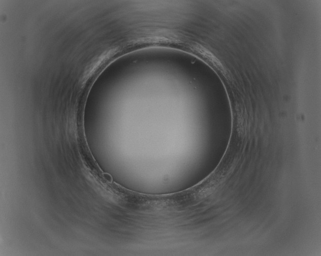 X0000074330482200608251330