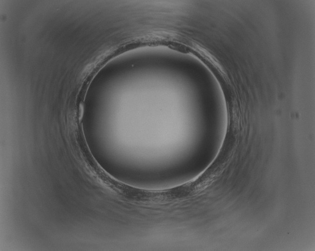 X0000074330485200608251329
