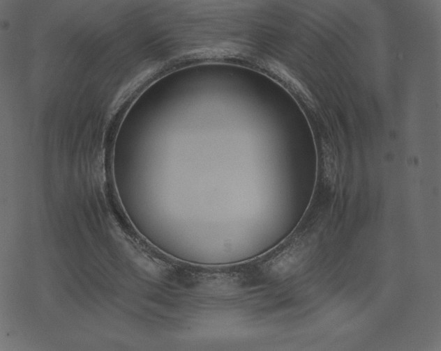 X0000074330486200608251329