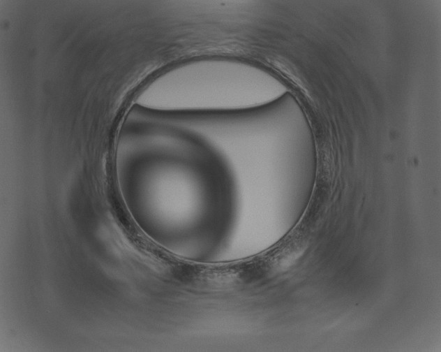 X0000074330491200608251329