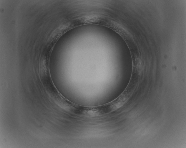 X0000074330506200608251329