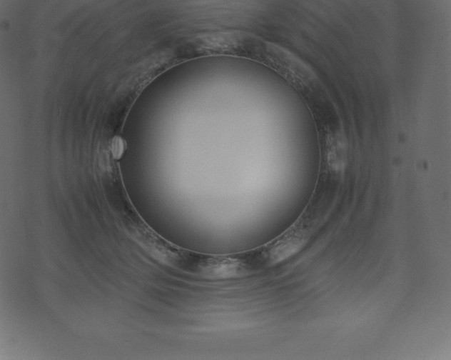 X0000074330514200608251329