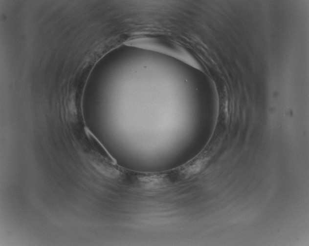 X0000074330516200608251329
