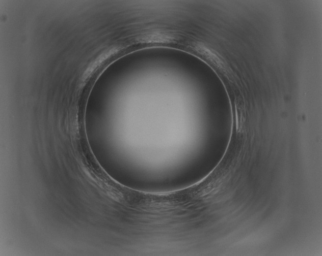 X0000074330531200608251328