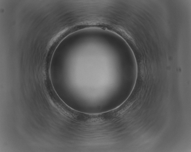 X0000074330536200608251328