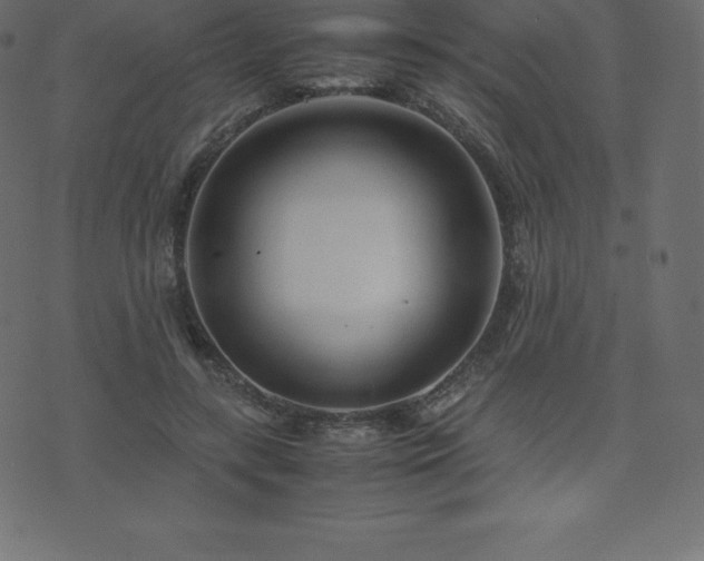 X0000074330547200608251328