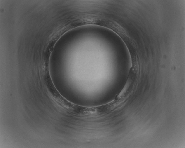 X0000074330552200608251328