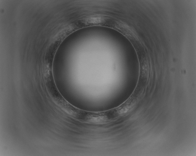 X0000074330555200608251328