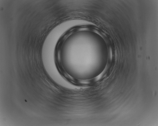 X0000074330562200608251329