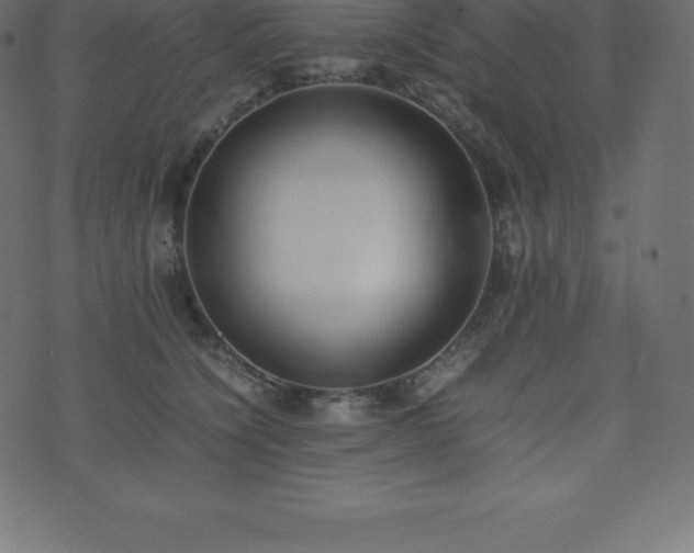 X0000074330564200608251329