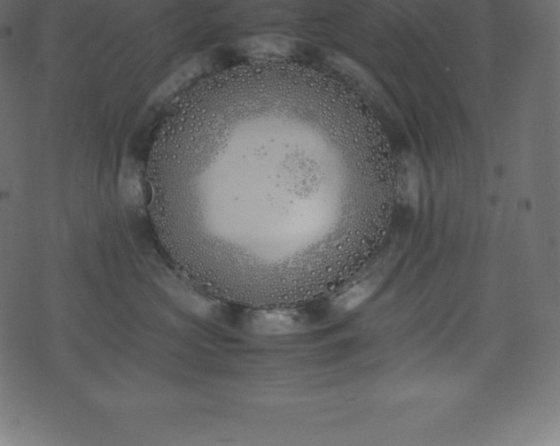 X0000074330573200608251329