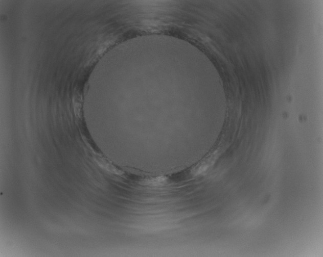 X0000074330576200608251329