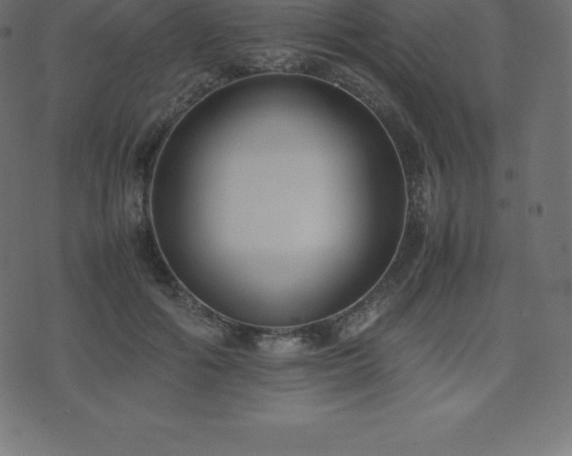 X0000074330602200608251328