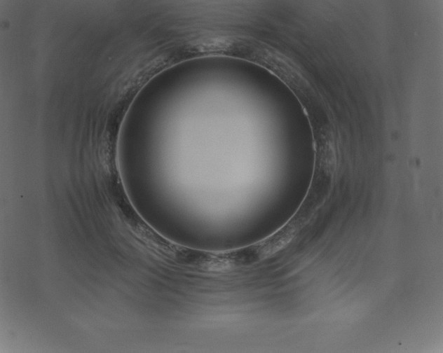 X0000074330604200608251328