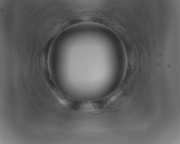 X0000074330611200608251327
