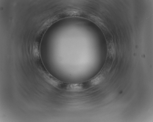 X0000074330622200608251327