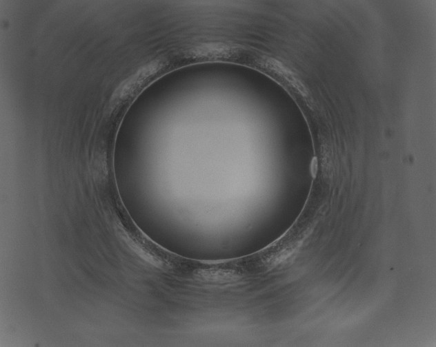 X0000074330633200608251327