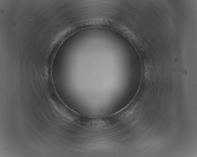 X0000074330636200608251327