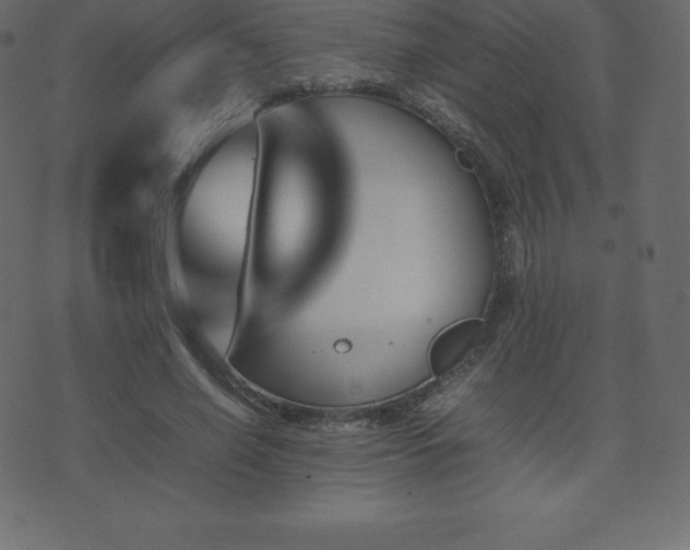 X0000074330638200608251327