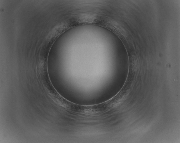 X0000074330641200608251327