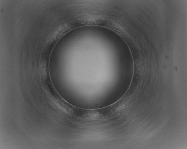 X0000074330642200608251327