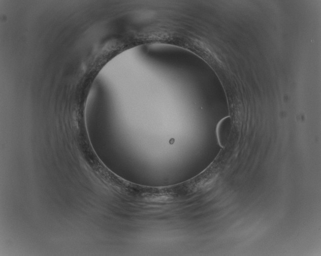 X0000074330643200608251327