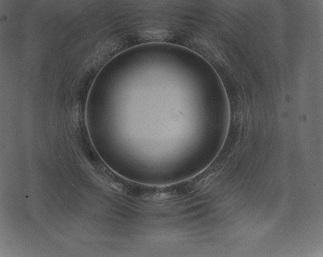 X0000074330647200608251327