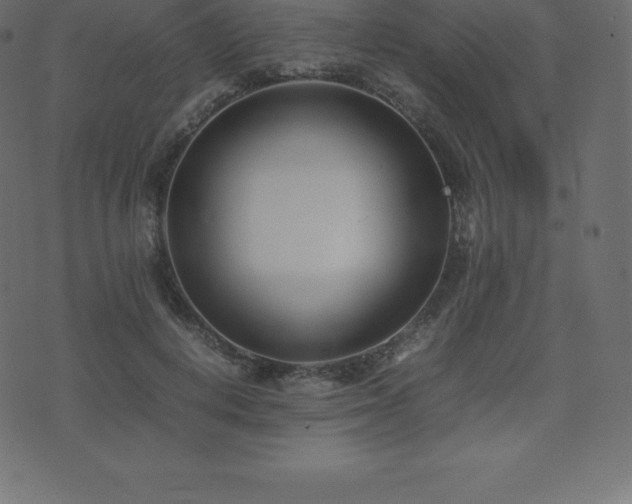 X0000074330648200608251327