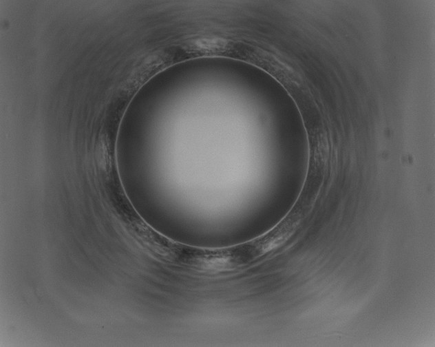 X0000074330651200608251327