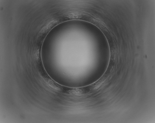 X0000074330652200608251327