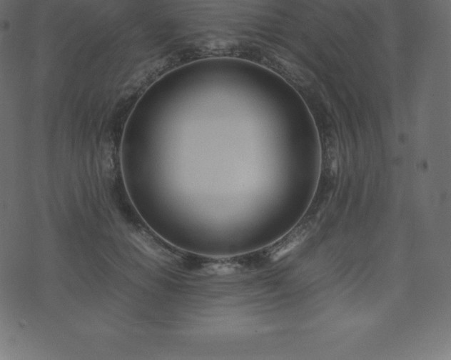 X0000074330654200608251327