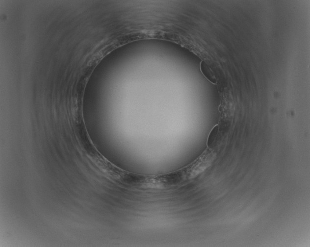 X0000074330656200608251327