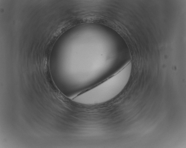 X0000074330660200608251327