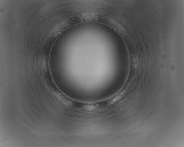 X0000074330662200608251327