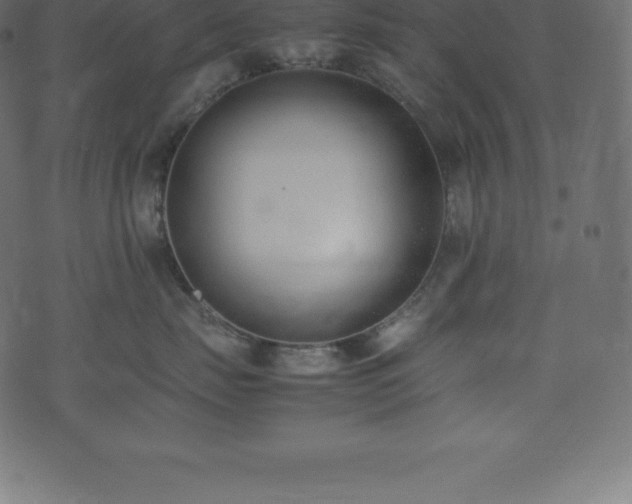 X0000074330671200608251327