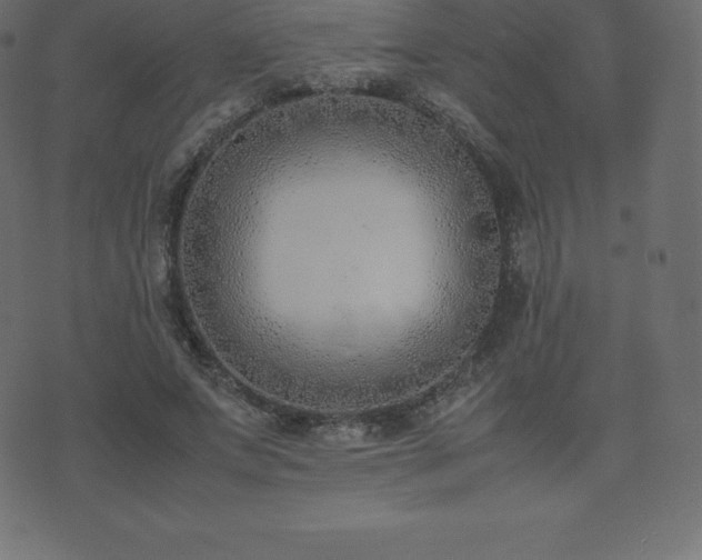 X0000074330687200608251326