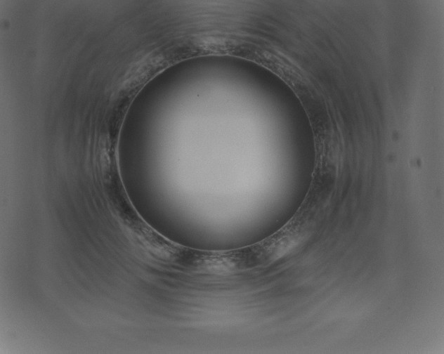 X0000074330702200608251326