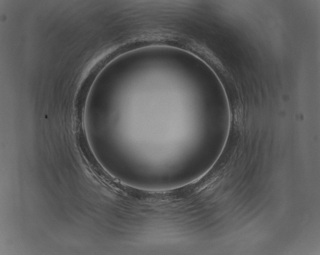 X0000074330724200608251325