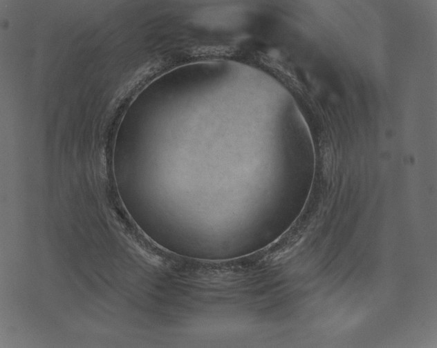 X0000074330729200608251325