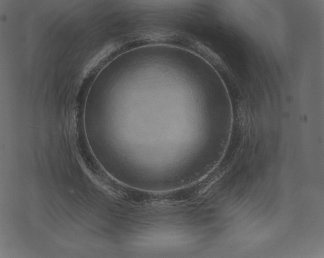 X0000074330730200608251325