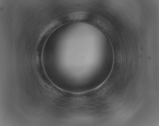 X0000074330731200608251325