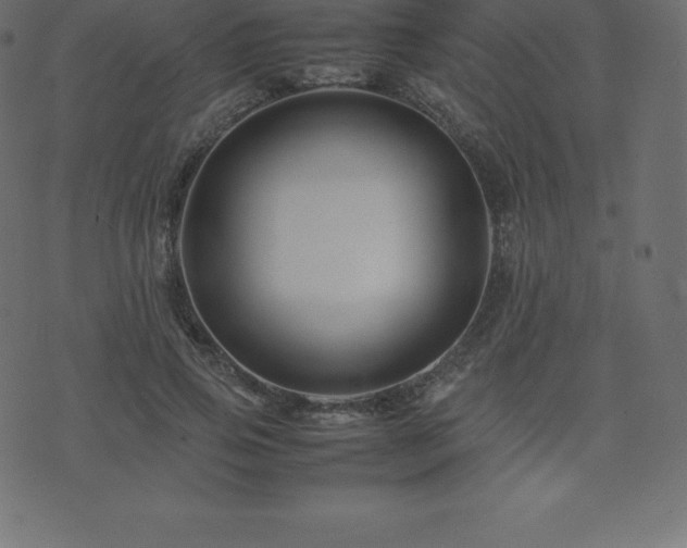 X0000074330741200608251325