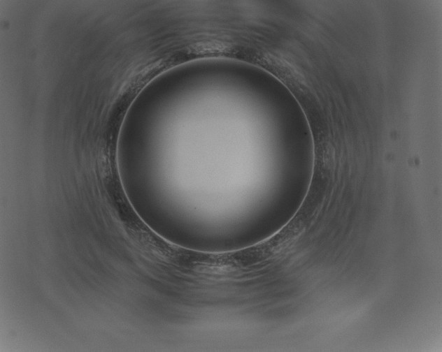 X0000074330743200608251325