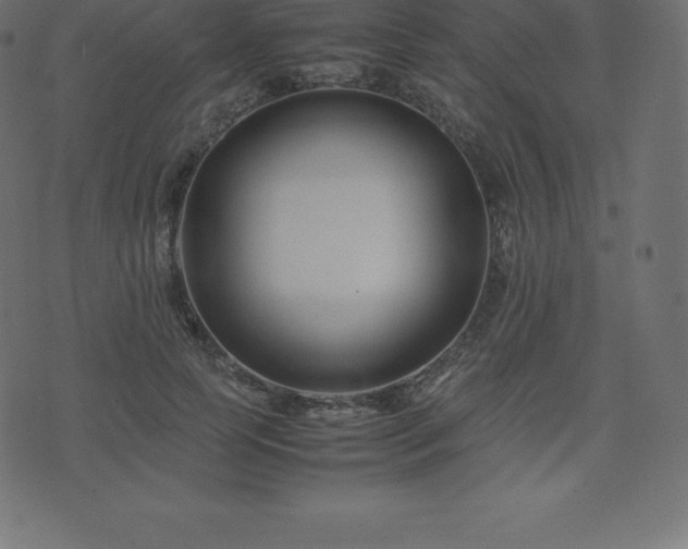 X0000074330745200608251325