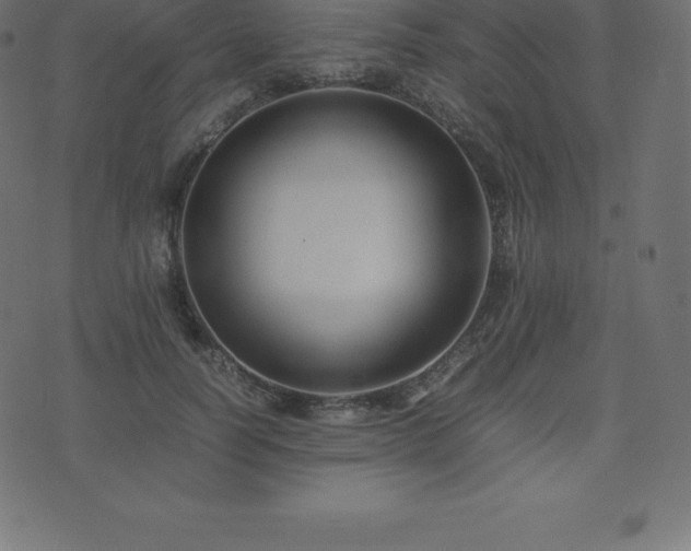 X0000074330746200608251325