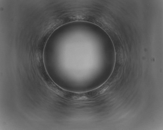 X0000074330747200608251325