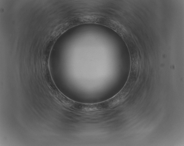 X0000074330749200608251325